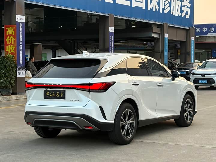 Lexus RX 2025 2025款 300 四驱骏享版