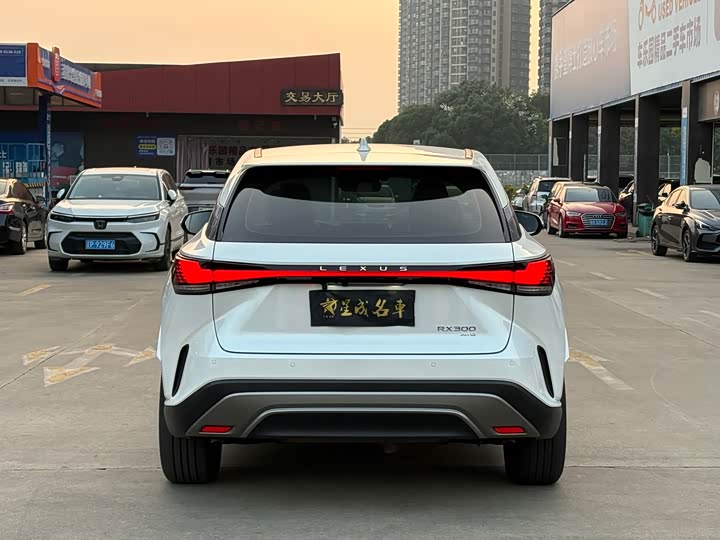 Lexus RX 2025 2025款 300 四驱骏享版