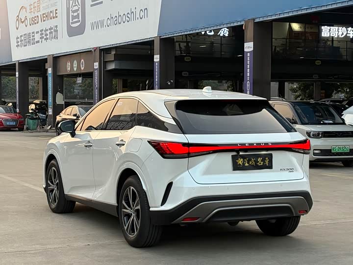 Lexus RX 2025 2025款 300 四驱骏享版
