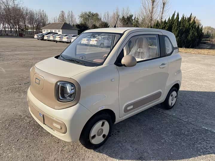 Bestune Pony 2026 2026款 222km 炫彩马