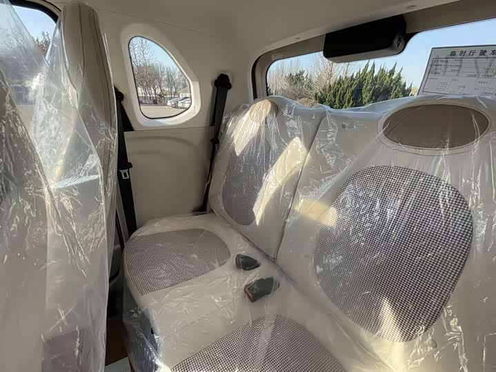 Bestune Pony 2026 2026款 222km 炫彩马