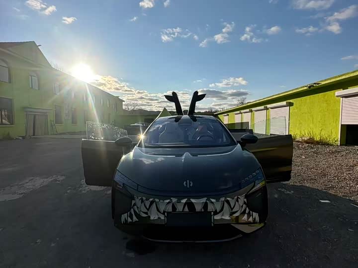 HiPhi X 2021 2021款 旗舰版6座