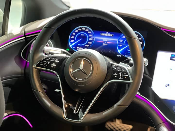 Mercedes-Benz EQS 2022 2022款 改款 450+ 先锋版