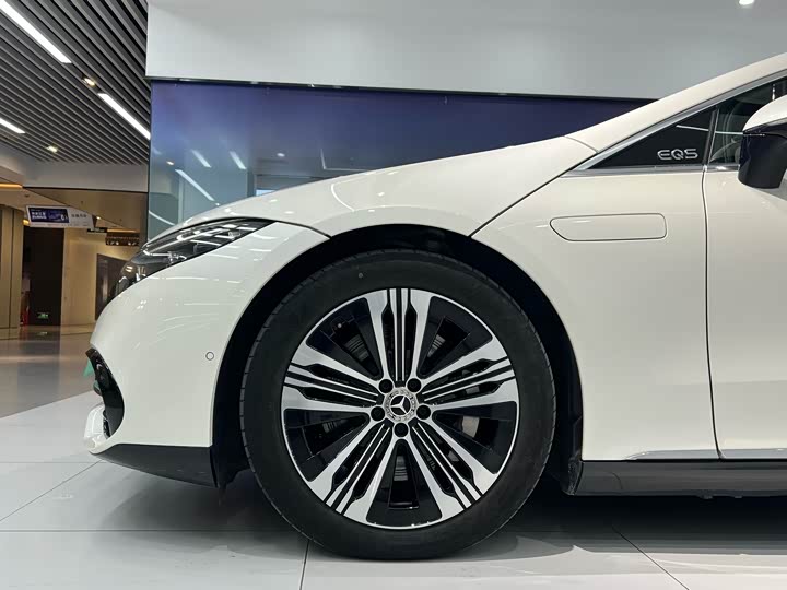 Mercedes-Benz EQS 2022 2022款 改款 450+ 先锋版