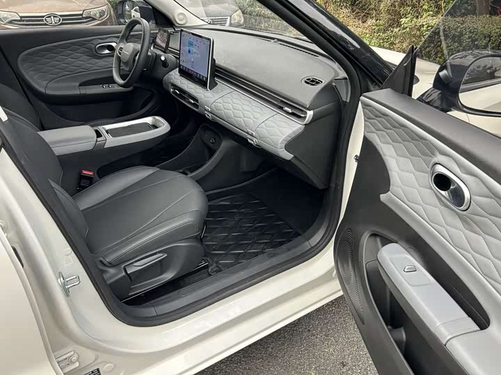 Dongfeng Nammi 01 2024 2024款 共创版 共创WE版