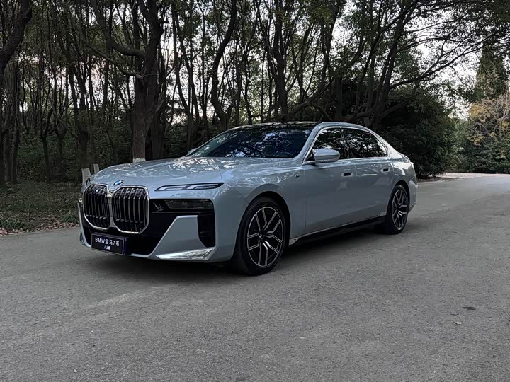 BMW 7 Series 2023 2023款 735Li M运动套装