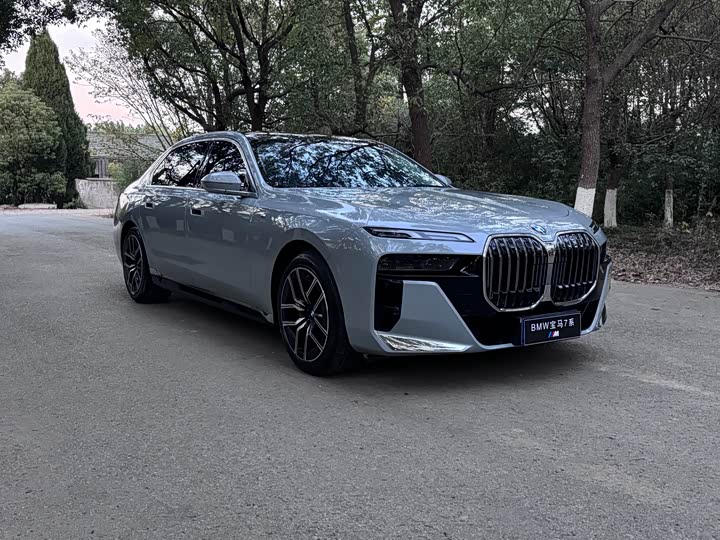 BMW 7 Series 2023 2023款 735Li M运动套装