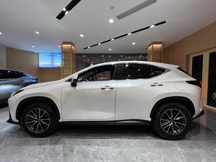 Lexus NX 2023 2023款 350h 前驱 创悦版