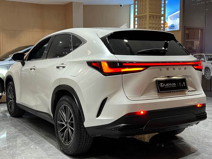 Lexus NX 2023 2023款 350h 前驱 创悦版