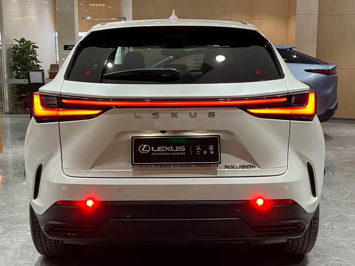 Lexus NX 2023 2023款 350h 前驱 创悦版