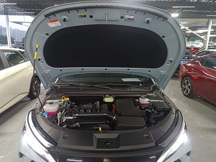 BYD Qin L 2025 2025款 DM-i 智驾版 80KM领先型