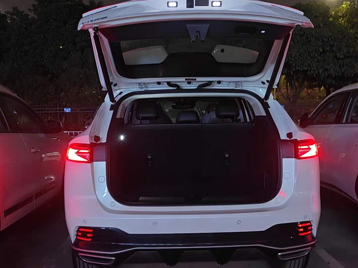 Roewe RX5 Hybrid 2023 2023款 eRX5 超混优越版