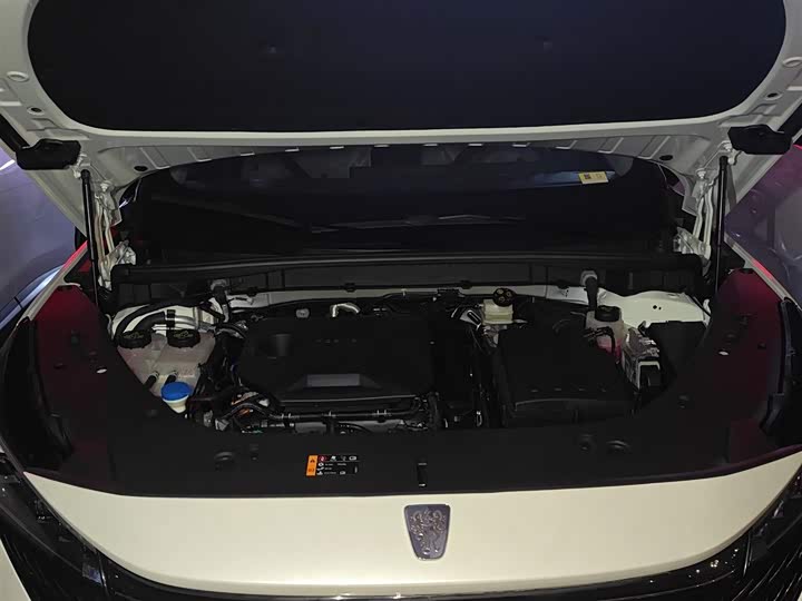 Roewe RX5 Hybrid 2023 2023款 eRX5 超混优越版