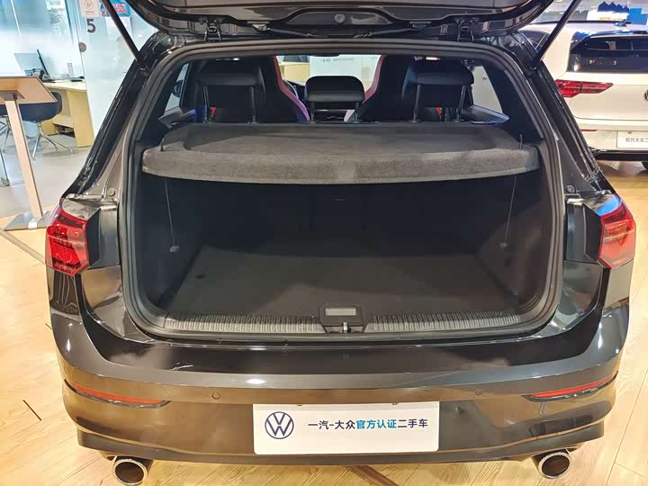 Volkswagen Golf GTI 2021 2021款 380TSI DSG GTI