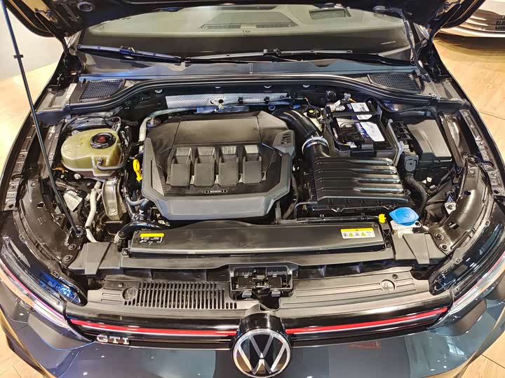 Volkswagen Golf GTI 2021 2021款 380TSI DSG GTI