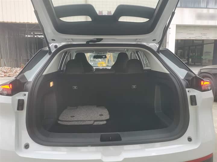 Dongfeng Aeolus Haohan 2024 2024款 荣耀版 1.5T 时尚型