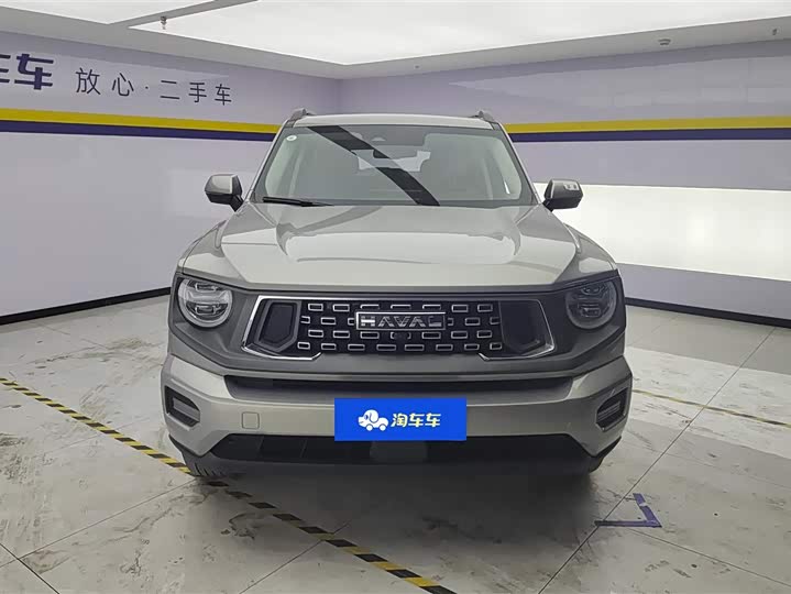 2023 Haval H-Dog