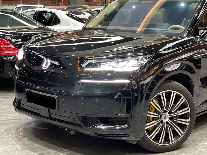 Denza N9 2025 2025款 尊荣型