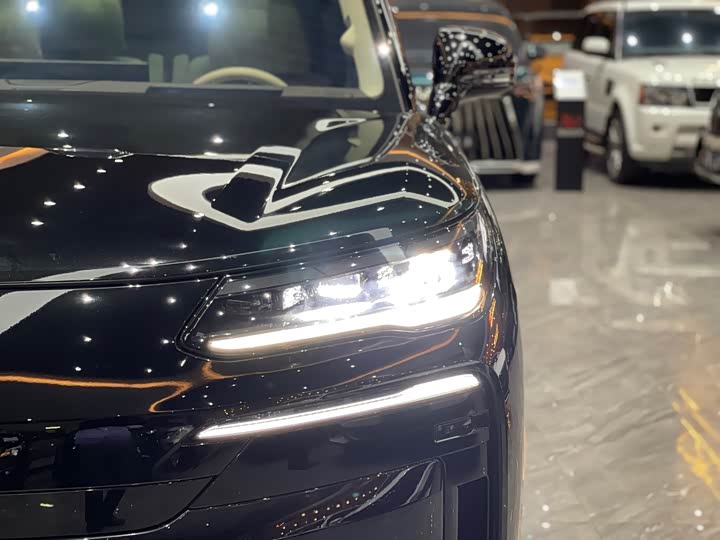 Denza N9 2025 2025款 尊荣型