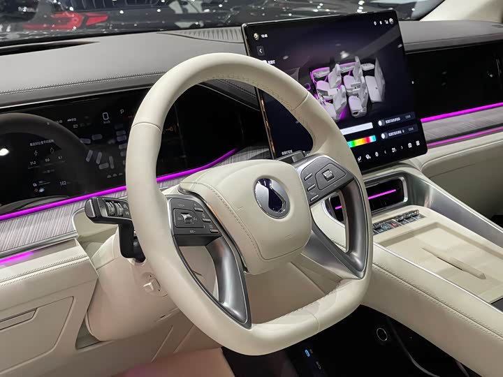 Denza N9 2025 2025款 尊荣型