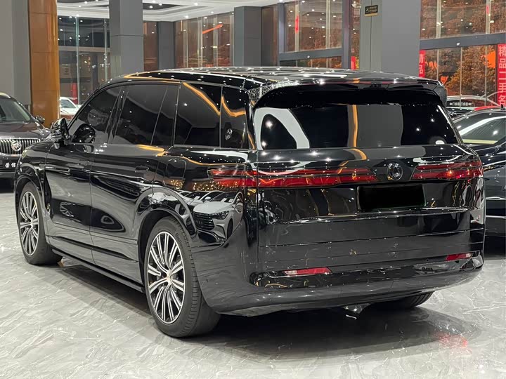 Denza N9 2025 2025款 尊荣型