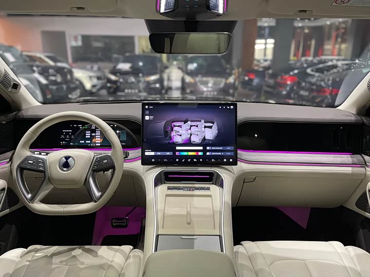 Denza N9 2025 2025款 尊荣型