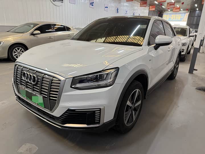 Audi Q2L e-tron 2019 2019款 Q2L e-tron 纯电智享型