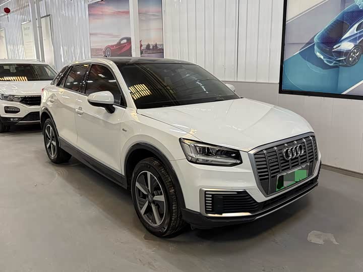 Audi Q2L e-tron 2019 2019款 Q2L e-tron 纯电智享型