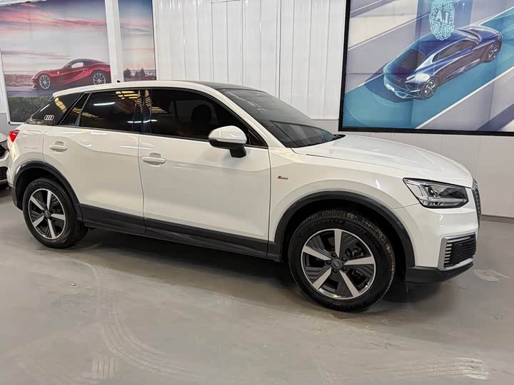 Audi Q2L e-tron 2019 2019款 Q2L e-tron 纯电智享型