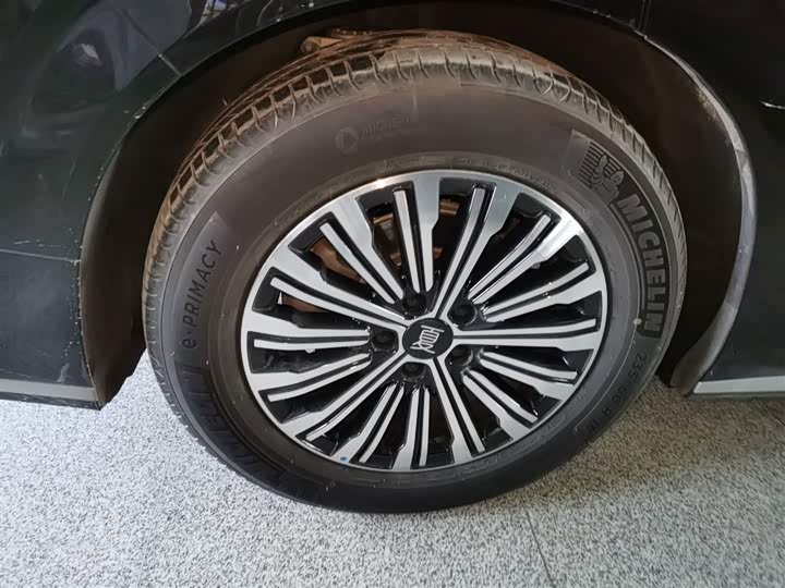 BYD Xia 2025 2025款 DM-i 1.5T 180km 超越型