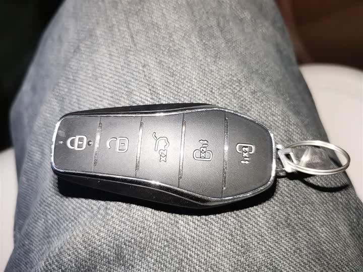 BYD Xia 2025 2025款 DM-i 1.5T 180km 超越型