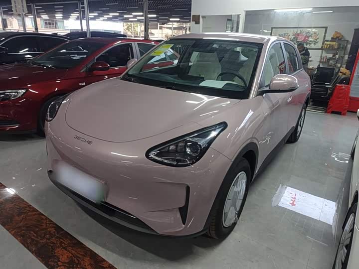 Geely Galaxy Geome 2026 2026款 310km 青春版