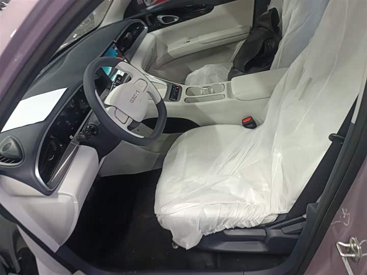 Geely Galaxy Geome 2026 2026款 310km 青春版