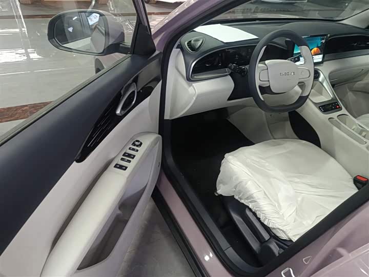 Geely Galaxy Geome 2026 2026款 310km 青春版