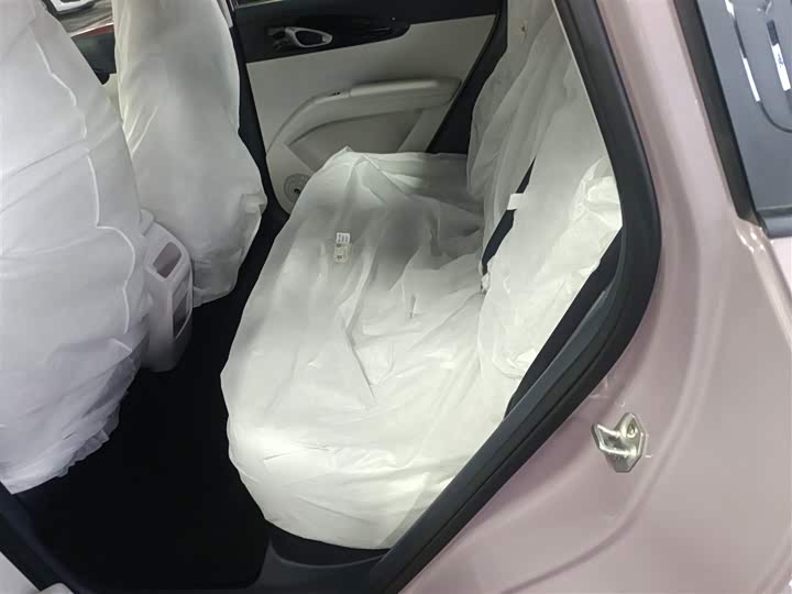 Geely Galaxy Geome 2026 2026款 310km 青春版