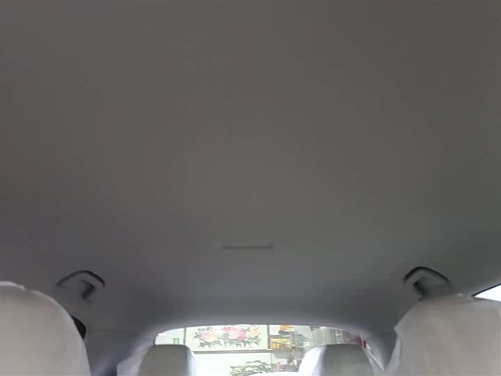 Geely Galaxy Geome 2026 2026款 310km 青春版