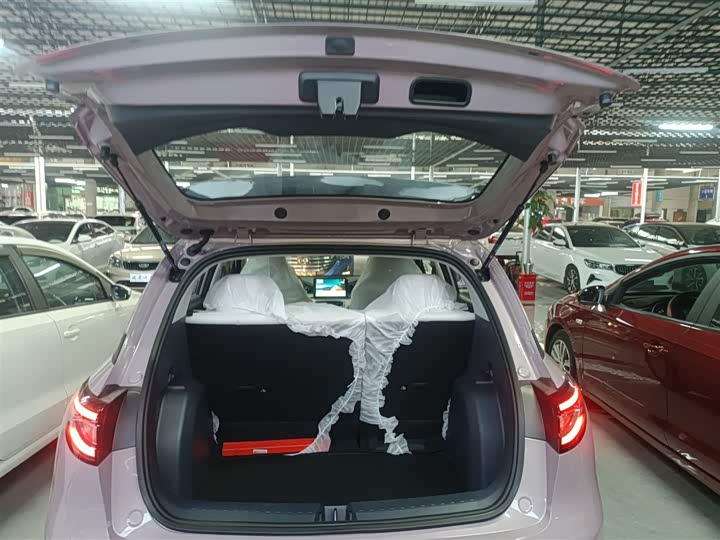 Geely Galaxy Geome 2026 2026款 310km 青春版