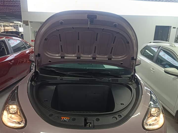 Geely Galaxy Geome 2026 2026款 310km 青春版