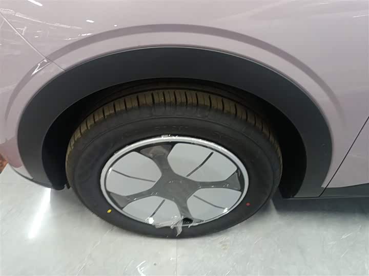 Geely Galaxy Geome 2026 2026款 310km 青春版