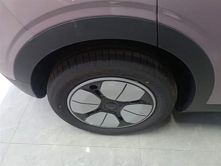 Geely Galaxy Geome 2026 2026款 310km 青春版