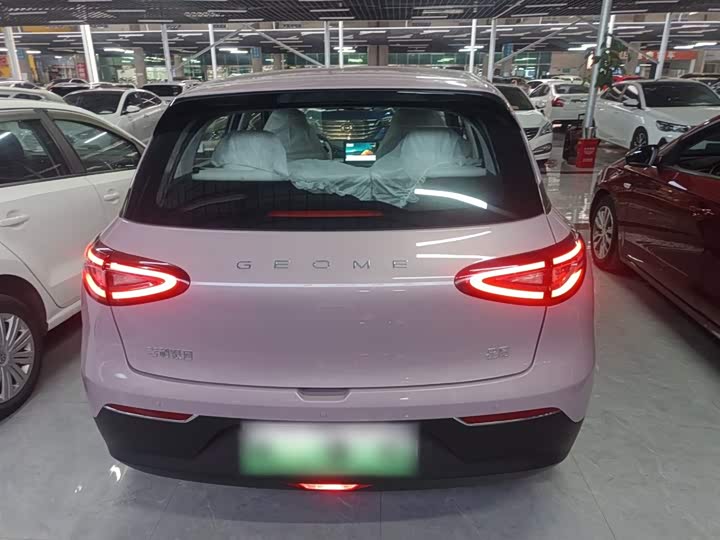 Geely Galaxy Geome 2026 2026款 310km 青春版