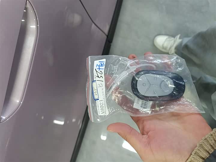 Geely Galaxy Geome 2026 2026款 310km 青春版