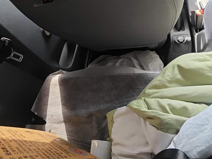 Geely Galaxy Panda Mini 2025 2025款 210km 熊猫卡丁