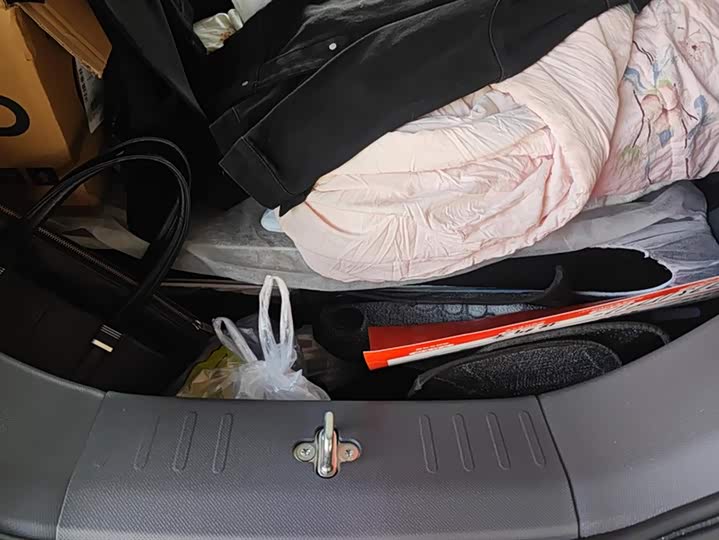 Geely Galaxy Panda Mini 2025 2025款 210km 熊猫卡丁