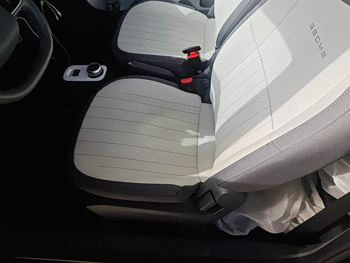 Geely Galaxy Panda Mini 2025 2025款 210km 熊猫卡丁