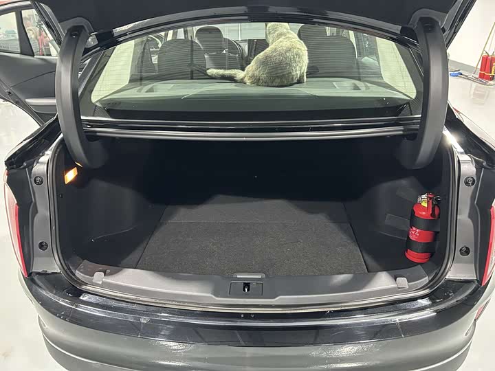 Hongqi E-QM5 2024 2024款 500km 出行版