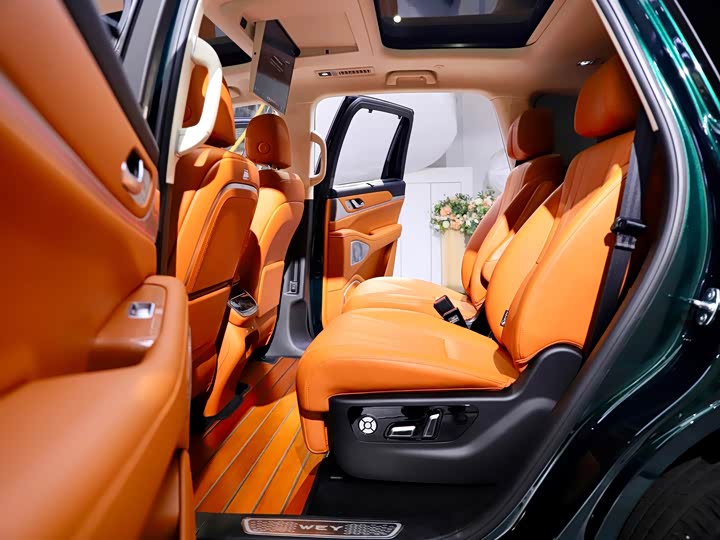 Wey Lanshan 2025 2025款 四驱智驾 Max