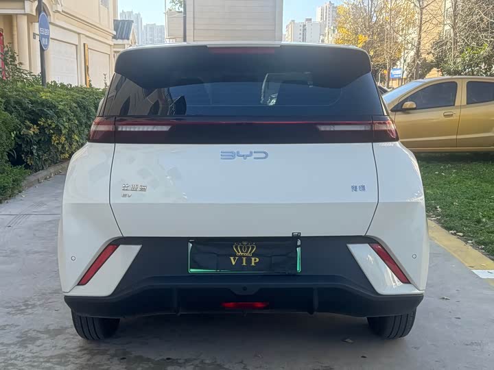 BYD Seagull 2025 2025款 305km 活力版