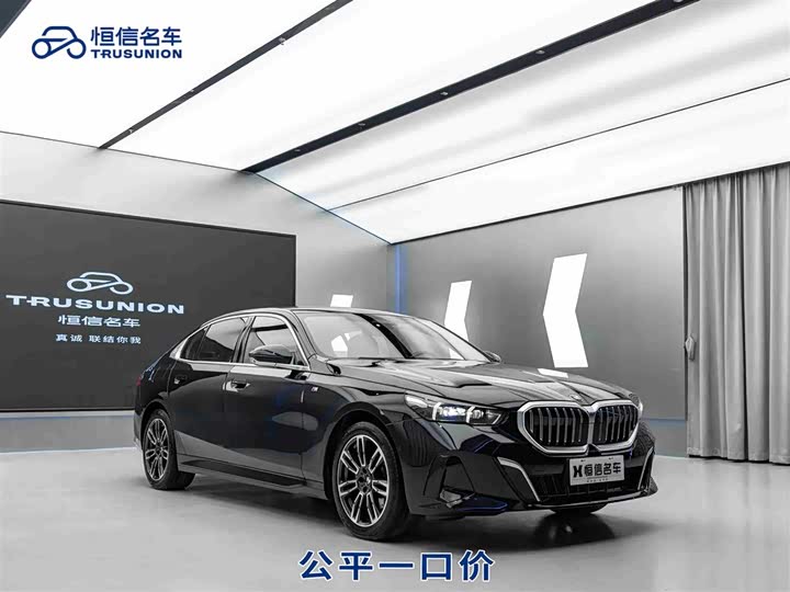 BMW 5 Series 2024 2024款 530Li 领先型 M运动套装