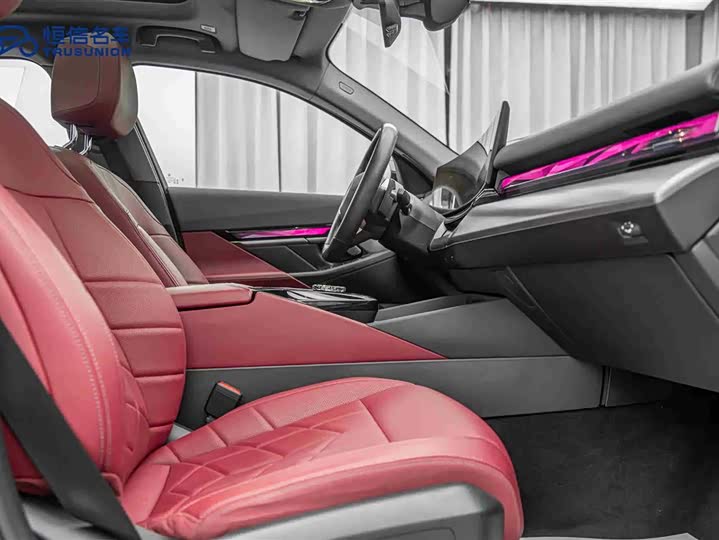 BMW 5 Series 2024 2024款 530Li 领先型 M运动套装